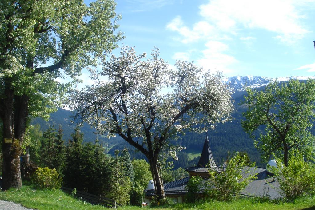 Scherntreinerhof Bauernhof
